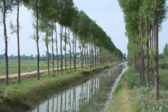 准农田扶植八要素