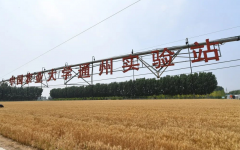 立寒水冷冬气始水饺一碗麦喷鼻至