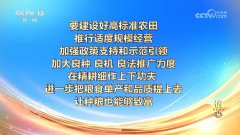 核心 决心2024！本年我国粮食产量初次跨越14万亿