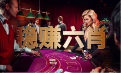 精准二四六材料大全