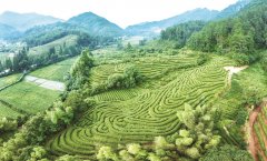 福建：攥指成拳打制“福农优品”