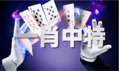 曾道论坛网坐1339