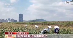 力大又伶俐 “新农夫”的新拍档上线了