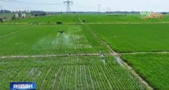 <b>农技护航、聪慧耕田 “三夏”时节各地都正在抢</b>